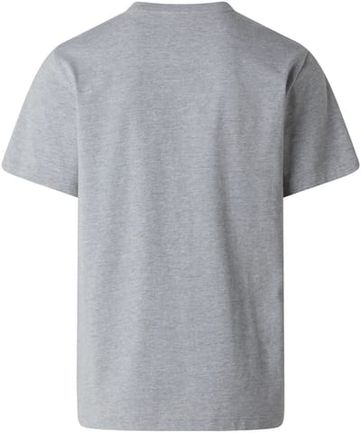 THE NORTH FACE - m evolution simple dome ss tee - Sport t-shirt korte mouw heren - Grijs