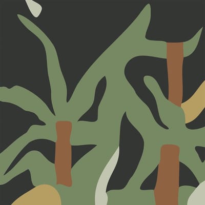 Valet - Nature (LP)