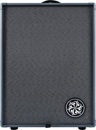 Darkglass Infinity 500 Combo 210 - Basversterker