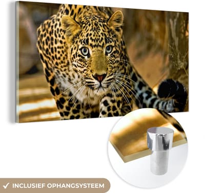 MuchoWow® Glasschilderij 40x20 cm - Schilderij acrylglas - Luipaard - Roofdier - Portret - Foto op glas - Schilderijen