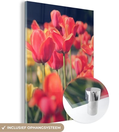 MuchoWow® Glasschilderij 30x40 cm - Schilderij acrylglas - Tulpen - Bloemen - Natuur - Foto op glas - Schilderijen