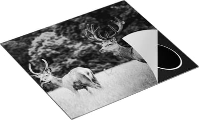 Chefcare Inductie Beschermer Twee Etende Herten in de Weide - Zwart Wit - 60x50 cm - Afdekplaat Inductie - Kookplaat Beschermer - Inductie Mat