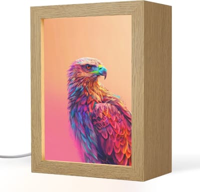 Nachtlampje 15x20 cm - Kinder lampje - Arend - Vogel - Kleurrijk - Dier - Tafellamp kinderkamer - Slaapkamer lamp - Bedlamp kinderen - Kinderlampje stopcontact - Wandlamp babykamer - Nachtlampjes