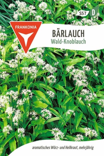 Wilde knoflook, bosknoflook - Bestverkochte kruidenzaden, specerijen, zaden