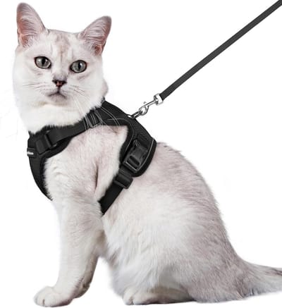 Rabbitgoo kattenharnas set met harnas en riem voor kat, om te lopen, ontsnapbeveiligingsharnas, met riem voor kat, metalen ring, licht, zacht, reflecterend, verstelbaar, voor het uitlaten van de kat, reizen