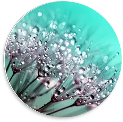 KuijsFotoprint - Schilderij - Close Up Paardenbloem - Blauw En Paars - 30 X 30 Cm
