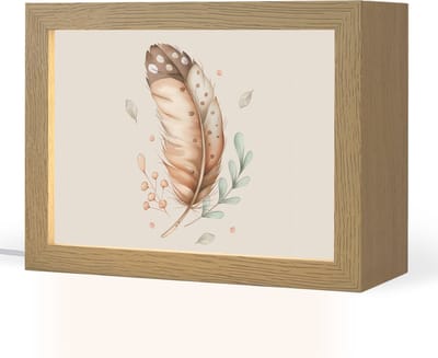 Nachtlampje 20x15 cm - Kinder lampje - Veer - Bohemian - Boho - Pastel kleuren - Tafellamp kinderkamer - Slaapkamer lamp - Bedlamp kinderen - Kinderlampje stopcontact - Wandlamp babykamer - Nachtlampjes