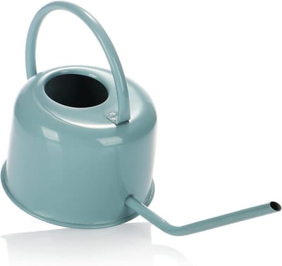 Gieter 1 L, Mooie gieter met lange hals voor het bewateren en bemesten van kleine en middelgrote kamerplanten, voor op kantoor, thuis en in de serre (Gieter - 1 L - Blauw)