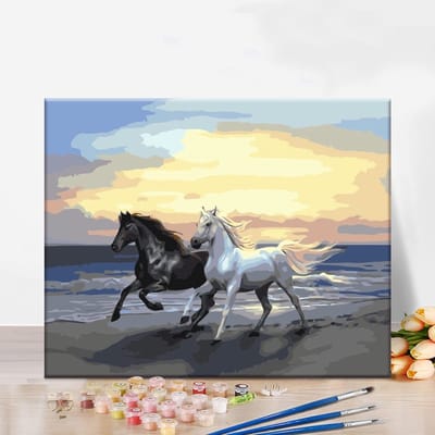 Dailygoods - Schilderen op Nummer voor Kinderen en Volwassenen - Creatief Paardenset