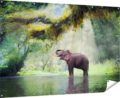 Gards Tuinposter Vrolijke Olifant in het Water - 180x120 cm - Tuindoek - Tuindecoratie - Wanddecoratie buiten - Tuinschilderij