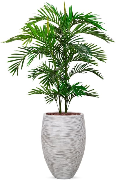 Kunstplant Arecapalm in Vaas elegant Deluxe rib ivoor H160 cm
