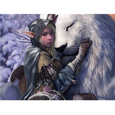 Peinture diamant à faire soi-même, fille et lion, broderie diamant, elfe de dessin animé, point de croix, arts, décoration murale 20X30CM gray
