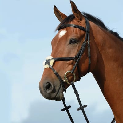 Hoofdstellen met verhoogde vulling in de vorm van een 8 Weatherbeeta Collegiate Syntovia+