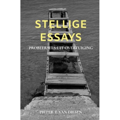 Stellige Essays - Pieter T. Van Diesen