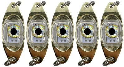 Allecto - Vissen Lokken Lichten - Onderwater Lampen - Duurzaam en Drukbestendig - Geschikt voor Boot en Zee - Fisheye Ontwerp - Ideaal voor IJs Vissen
