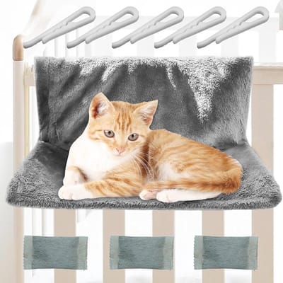 Famanu – Huisdierrugzak voor Katten en Kleine Honden – Grote en Stevige Kattendrager met Opvouwbaar Ontwerp -Ventilatiepanelen en Comfortabel Draaggemak