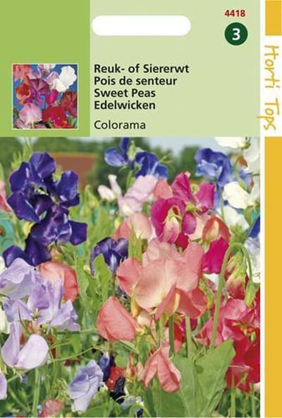 Hortitops Zaden - Lathyrus multiflora Colorama gemengd