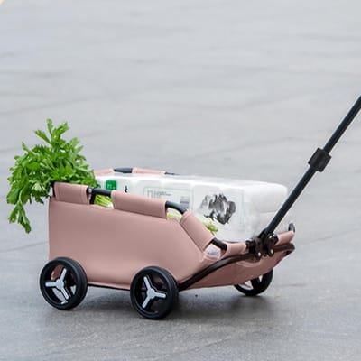 Huisdieren Kinderwagen - Dierenbuggy Trolley - Comfortabel Uit Laten - Opvouwbaar Lichtgewicht - 59x39x16 cm - Roze