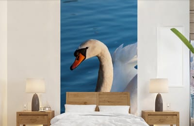 Behang - Fotobehang Zwaan - Water - Vogel - Wit - Breedte 120 cm x hoogte 240 cm