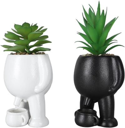 Decoratieve Nepplant Set van 2, Kunstmatige Succulente in Keramische Potten met Kleine Watercan voor Slaapkamer en Kantoor Decoratie