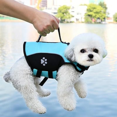 Honden Zwemvest Met Afneembaar Voorste Drijfvlak Handvat Huisdier Zwemvesten Buiten Training Zwemkleding Voor Kleine Middelgrote Grote Hond (as the picture,XS)