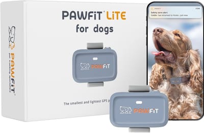 GPS Tracker voor Honden | Real-time Volgen | Activiteitenbewaking | Locatiegeschiedenis | Veiligheidskraag Inbegrepen