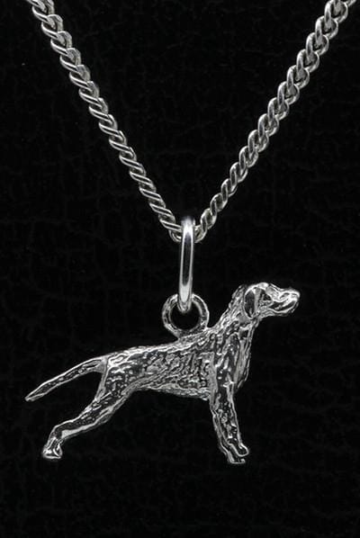 Zilveren Spinone met staart ketting hanger - klein