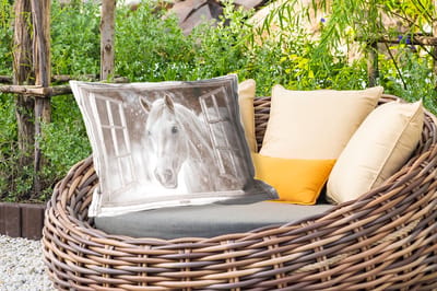Buitenkussens - Paard - Wit - Winter - Sneeuw - Doorkijk - Dieren - 60x40 cm - Weerbestendig