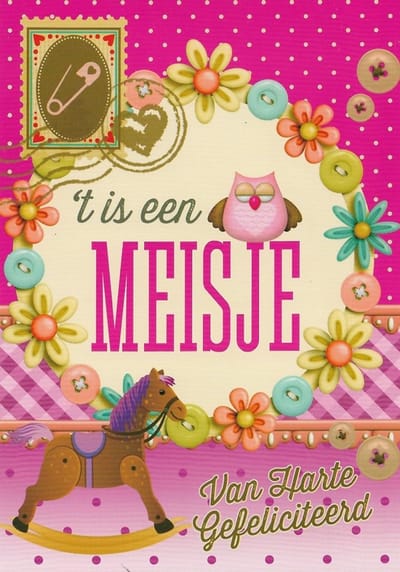 'T is een meisje! Gefeliciteerd! Een kleurrijke kaart met een afbeelding van een hobbelpaard en bloemen. Leuk om zo te geven of om bij een cadeau te voegen. Een dubbele wenskaart inclusief envelop en in folie verpakt.