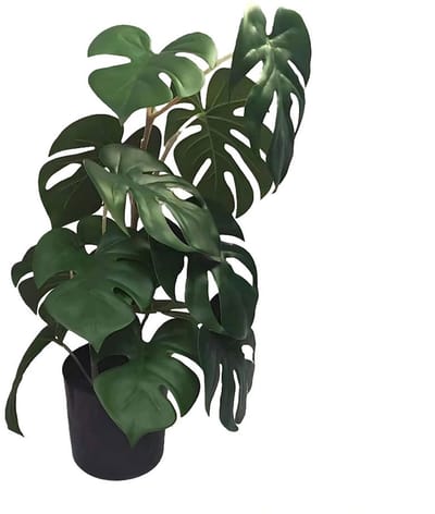 Monstera 46 cm kunstplant Buitengewoon de Boet