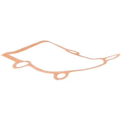 Crank case gasket