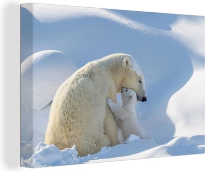 Canvas schilderij 150x100 cm - Wanddecoratie IJsbeer - Dieren - Sneeuw - Muurdecoratie woonkamer - Slaapkamer decoratie - Kamer accessoires - Schilderijen - Kerstdecoratie voor Binnen - Kerstdecoratie Woonkamer - Kerstdecoratie in Huis