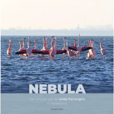 Nebula - Vogelfamilies - Ronald Faber