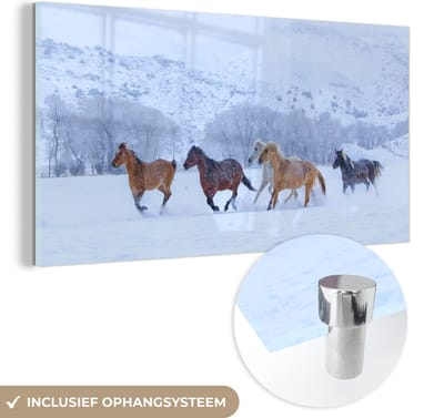 MuchoWow® Glasschilderij 80x40 cm - Schilderij acrylglas - Paarden - Sneeuw - Winter - Foto op glas - Schilderijen