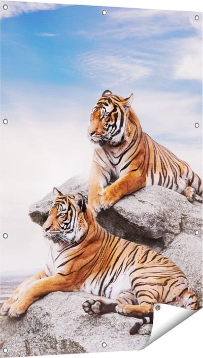 Gards Tuinposter Twee Tijgers op Rotsen met het Blauwe Lucht - 80x120 cm - Tuindoek - Tuindecoratie - Wanddecoratie buiten - Tuinschilderij
