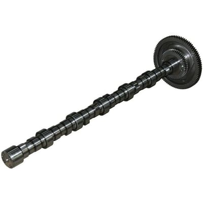 Nokkenas  BF 20100228760
