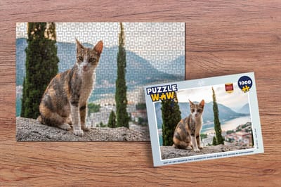 Puzzel Kat op het muurtje met overzicht over de Baai van Kotor in Montenegro - Legpuzzel - Puzzel 1000 stukjes volwassenen