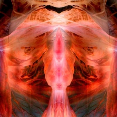 Paul Schutze - The Annihilating Angel, Or The Surface Of The World (LP)