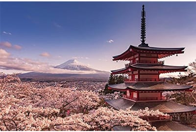 Mount Fuji Blossom - Maxi Poster 61 x 91,5cm