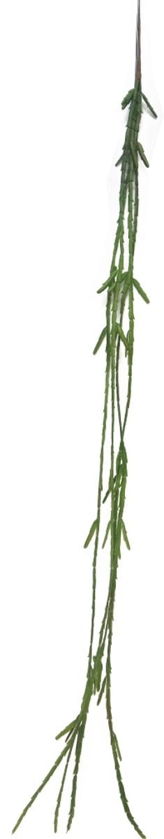 Cactus Lia hanger green 107 cm (S) kunstbloem Erutan Avon