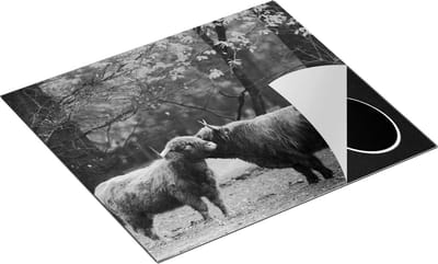 Chefcare Inductie Beschermer Twee Schotse Hooglanders Kussen Elkaar - Liefde - Zwart Wit - 60x50 cm - Afdekplaat Inductie - Kookplaat Beschermer - Inductie Mat