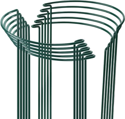 HEZIVO® Plantensteun Halfrond - Plantenhouder voor Klimplanten - Steunpaal - 10 Stuks - 40 x 25 cm