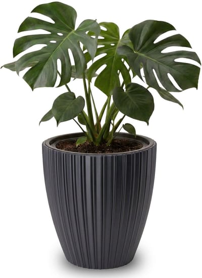 Dailygoods - Grote bloempot zwart - Weerbestendige plantenpot voor binnen en buiten