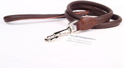 Dog's Companion - Leren Hondenriem - Lengte: 120 cm x 8 mm - Bruin