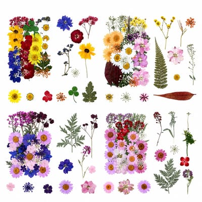 BOTC Natuurlijk Gedroogde Bloemen - Droogbloemen - 140 Stuks - Gedroogde Bloemen Set van 4 stuks - Echte Gedroogde Bloemen en Vlinders voor Resin Art, Sieraden Maken, Scrapbooking en DIY Decoratie