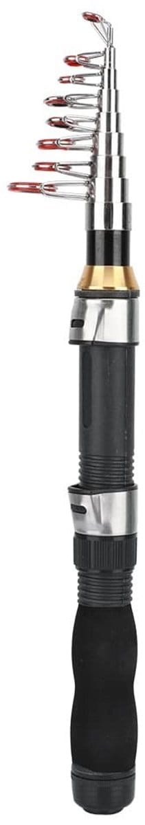 Dailygoods- Hengel Draagbaar 1,5m - Telescopische Hengel - Antislip Handvat - Zeevisserij - Zoetwater/Vijvervisserij - Fijne Afwerking - Visstok