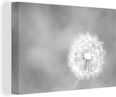 Canvas schilderij 180x120 cm - Wanddecoratie Paardebloem fotoprint - zwart wit - Muurdecoratie woonkamer - Slaapkamer decoratie - Kamer accessoires - Schilderijen