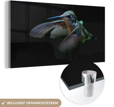 MuchoWow® Glasschilderij 40x20 cm - Schilderij acrylglas - Kolibrie - Vogel - Veren - Zwart - Foto op glas - Schilderijen