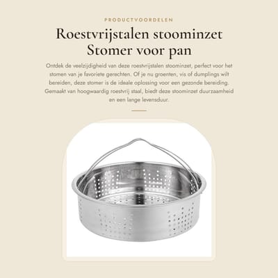 Dailygoods- Stoominzet Roestvrij Staal - Stoompan - Stoommand - Voedselstomer - Kookgerei - Duurzaam Materialen - Stomer