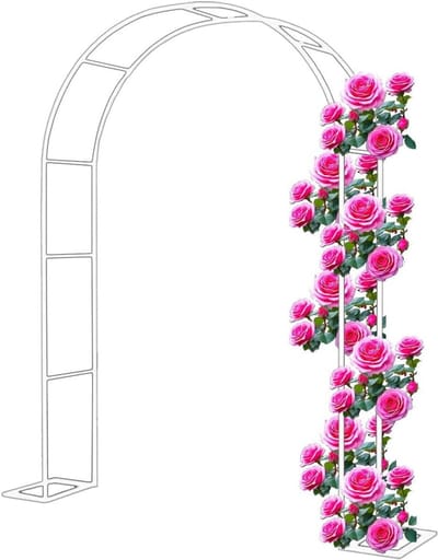 Tuinboog Klimplanten - Rozenboog Prieel - Decoratieve Tuin - Gegalvaniseerd Staal - 120x220x40cm - Wit
